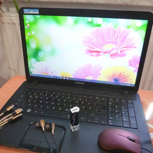 Toshiba c870 pollici hdplus - 17,