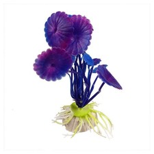 PIANTA 11,5 CM PIANTINA