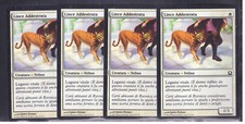 Magic 4x Lince Addestrata - Trained Caracal 27/274 C RTR ITA