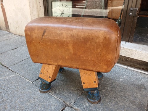 Vecchia cavallina palestra - vecchia,