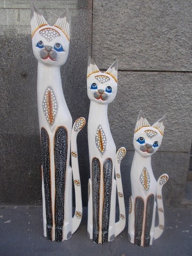 gatto bianco occhi azzurri