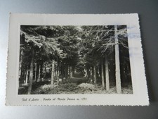 20165) GENOVA PROVINCIA S. STEFANO D'AVETO PINETA MONTE PENNA 1957