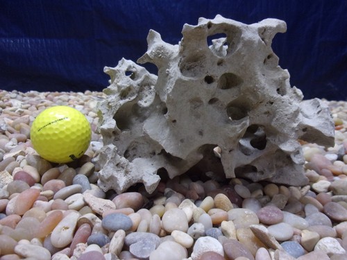 Texas holey rock - 03#, texas/tn
