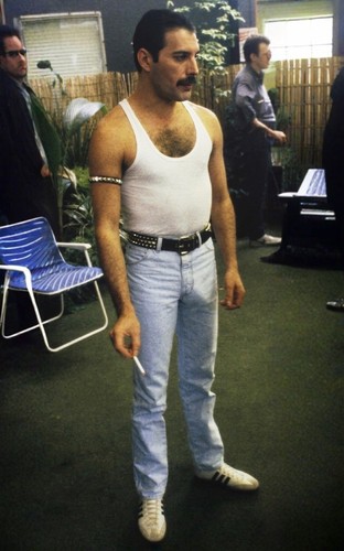 Poster freddie mercury queen - freddie,