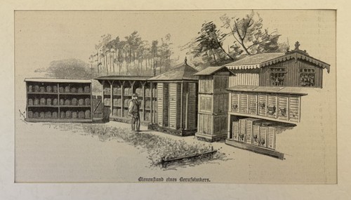 Bienenstand eines berufsimkers - bienenstand,