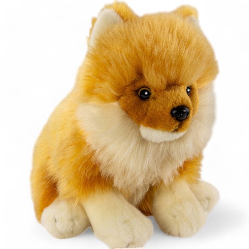 Carl dick cane pomerania - cane,