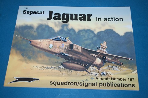 Sepecat jaguar action - jaguar, in