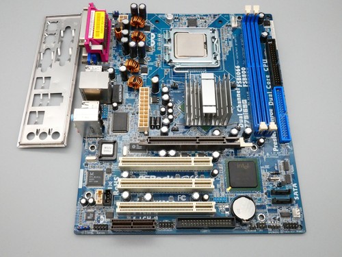 Socket scheda madre asrock - scheda,