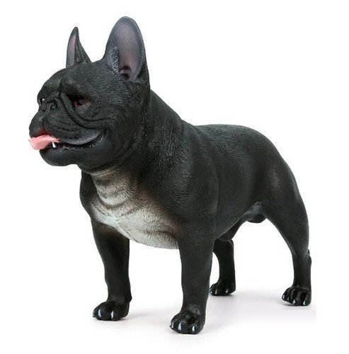 Black bulldog dog - bulldog, animal