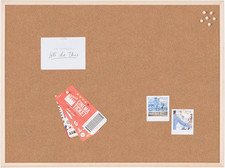 Pannello in Sughero Budget Con