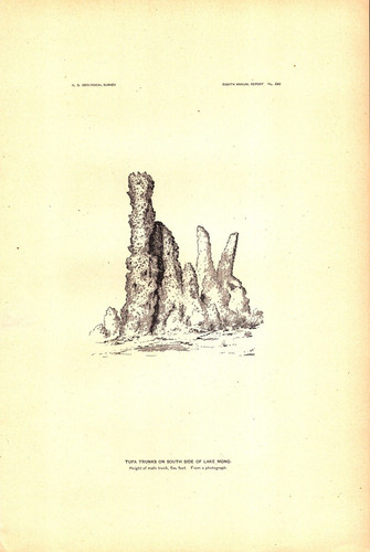Tufo tronchi lato - tufo, lago