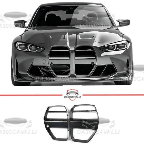 Griglia frontale bmw - frontale, 3
