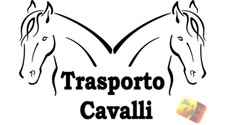 Adesivo AUTO TRASPORTO CAVALLI