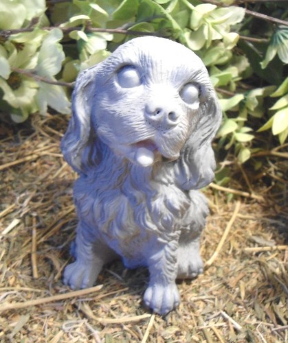 Stampo per cani lattice - stampo,