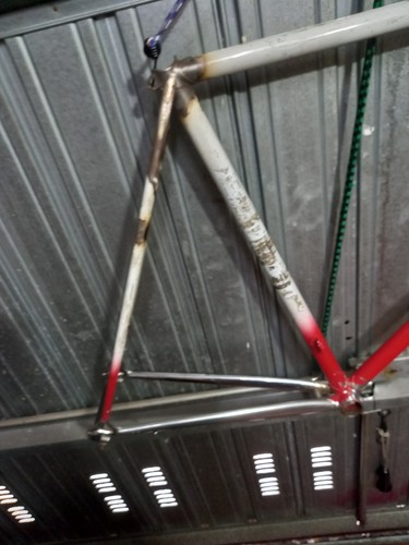 Telaio corsa bici vintage - telaio,