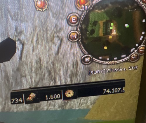 Metin2 ruby chimera 100 - won,