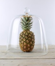 Vetro Cupola Display Mano