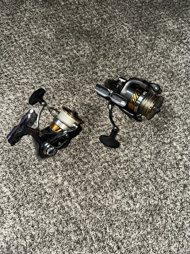 Daiwa scaffale 3000 cxh - lt, e
