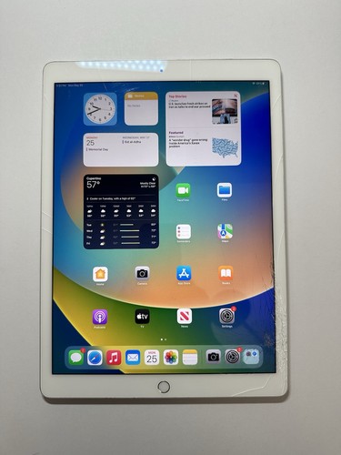 Apple ipad pro 32gb - 12.9,