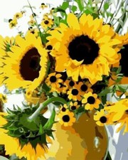 Dipingere con i numeri senza