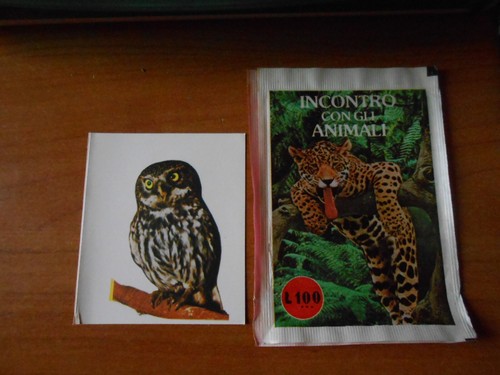 Figurina incontro con gli - con,