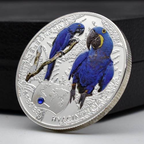 Hyacinth macaw silver - hyacinth,