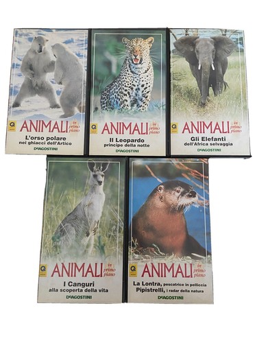Collezione vhs animali - vhs, in