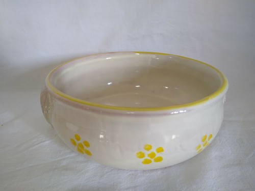 Enameled terracotta bowl soup - enameled,