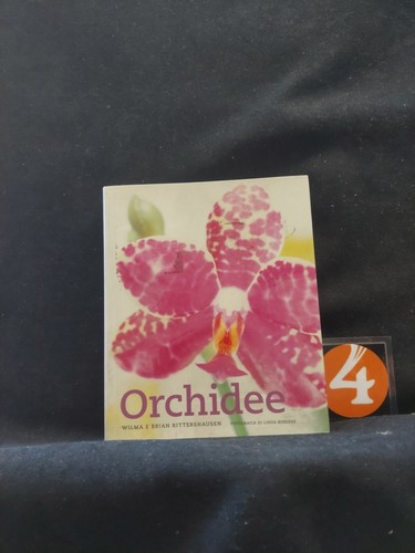 Orchidee rittershausen - orchidee,