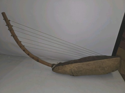 Arpa arcuata africana - arpa,