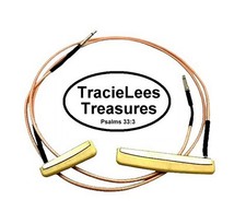 Takamine Serie G CP-100D