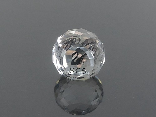 Swarovski scs nero cigno - swarovski,