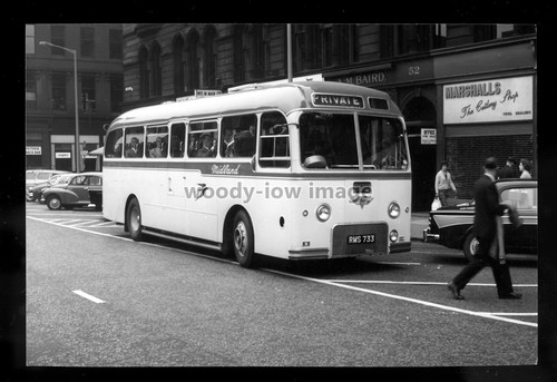 Tm7159 midland bluebird - tm7159,