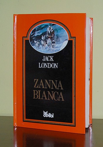 Zanna bianca jack - •,