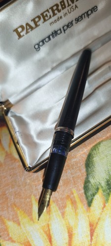 Paper mate penna stilografica - mate,