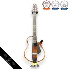 Chitarra elettrica acustica