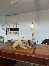 Lampada industriale steampunk