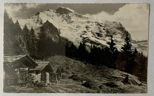Cartolina wengen svizzera - cartolina,, wengen/svizzera