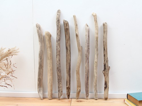 Rami legno galleggiante - di,