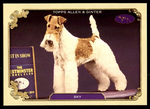 2024 topps allen ginter - 2024, sky