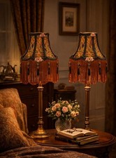 COPPIA UNICA DI PARALUMI FATTI