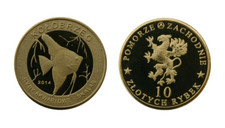 Pesce Pesce 鱼 poisson