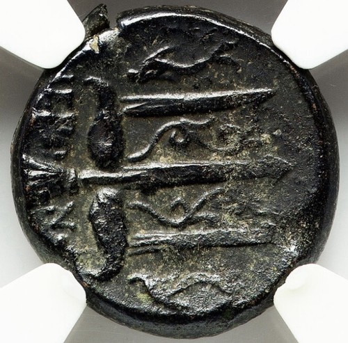 Sicilia siracusa 275 215 - siracusa, a.c
