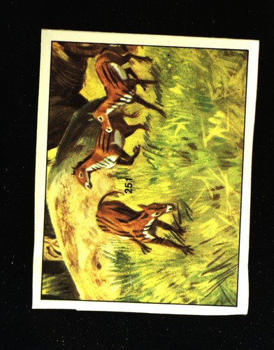 Animali preistorici - animali, (1974)
