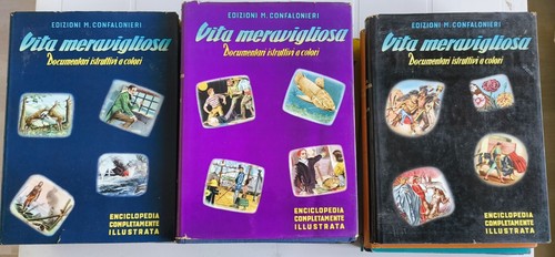 Vita meravigliosa enciclopedia - meravigliosa,