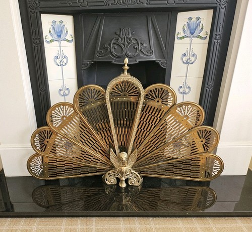 Splendido ventilatore pavone