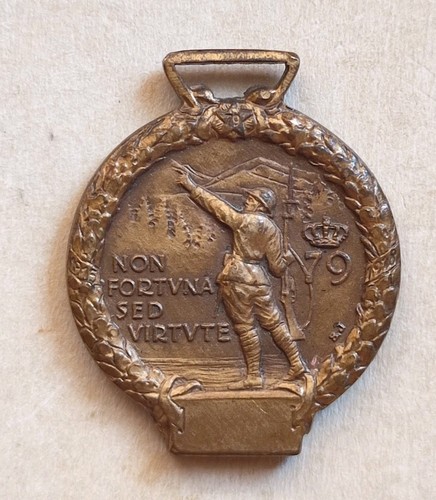 Medaglia reggimento - medaglia, 79