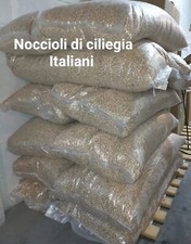 Semi di ciliegia 4 kg -