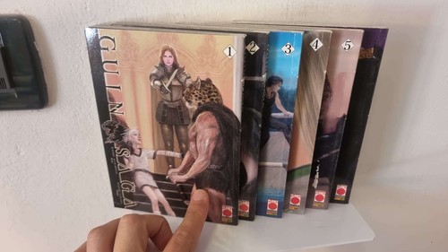 Guin saga serie completa - guin,