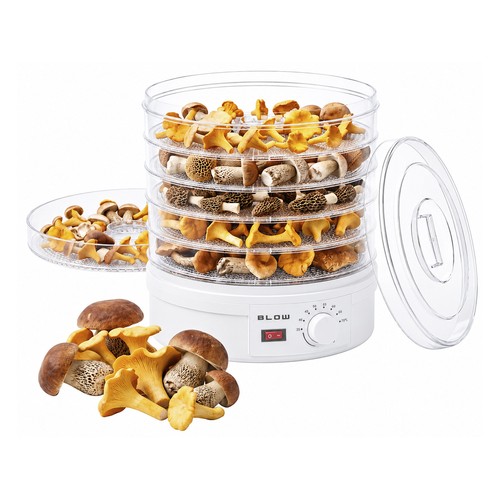 Essiccatore per funghi